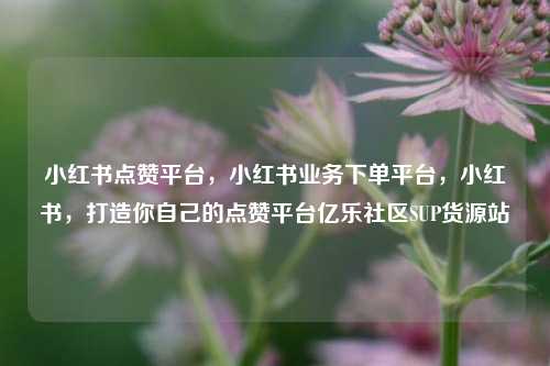 小红书点赞平台，小红书业务下单平台，小红书	，打造你自己的点赞平台亿乐社区SUP货源站  第1张